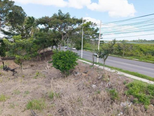TERRENO EN VENTA PROL V. FRANCISCO JAVIER MINA F 1014