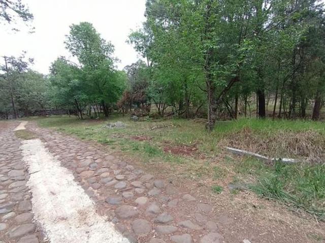 TERRENO EN VENTA HUASCA HIDALGO