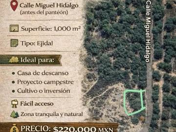 ¡TERRENO EN VENTA – RAYONES, N.L