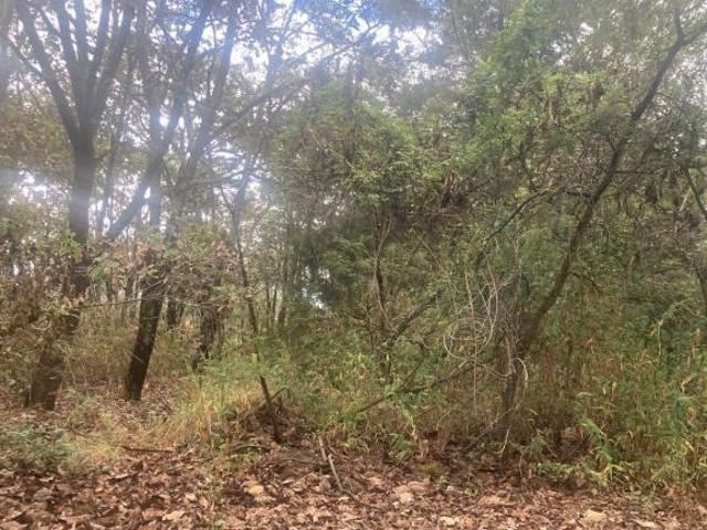 Terreno en venta Reserva de Los Encinos