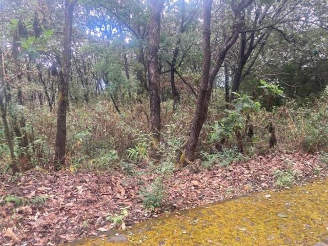 Terreno en Venta Reserva de los Encinos. Corredor turístico GDL Tequila