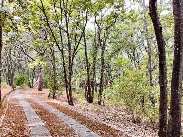 Terreno en venta, Reserva de los Encinos, Teuchitlán, Jalisco