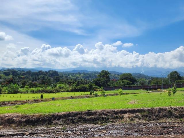 Terreno en Venta Residencial Monarca