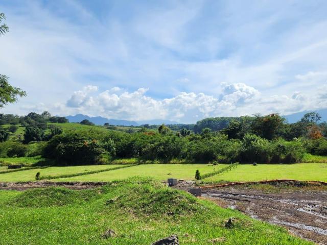 Terreno en Venta Residencial Monarca