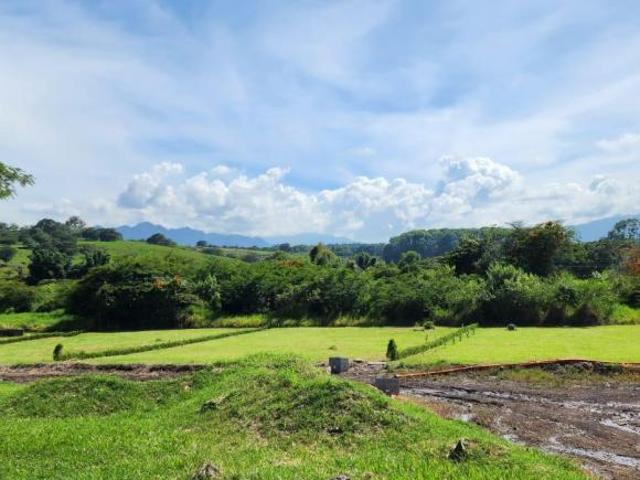Terreno en Venta Residencial Monarca