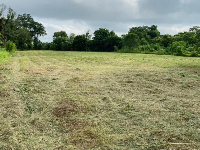 TERRENO EN VENTA SALIDA A CAZONES, POZA RICA, VERACRUZ