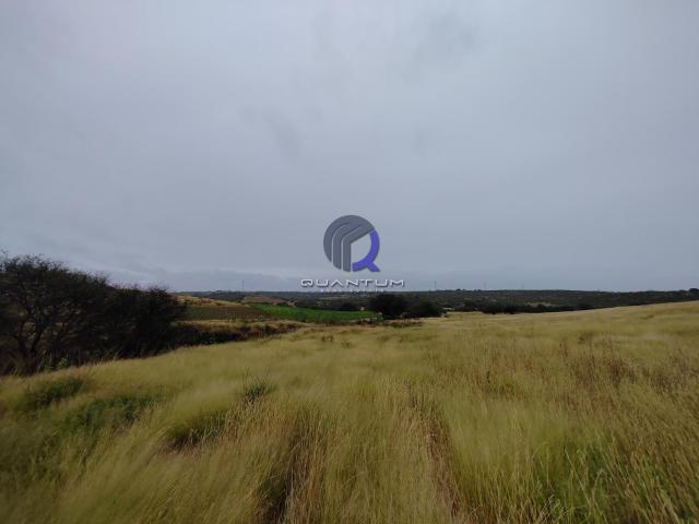 Terreno en venta Salida a San Luis