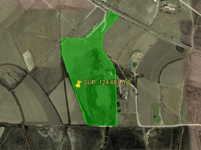 TERRENO EN VENTA SAN AGUSTIN, EL CUREVO POLOTITLAN, EDO. MEX SUP 124,681 m2