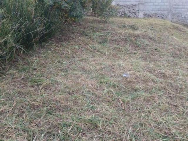 TERRENO EN VENTA, SAN ANDRES TOTOLTEPEC, TLALPAN