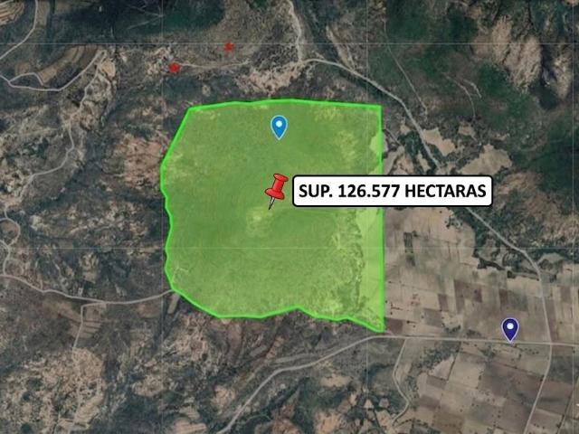 TERRENO EN VENTA SAN ANTONIO MONTECILLO TLAXCALA, CALPULALPAN SUP. 126.57 HAS