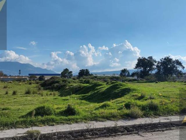 Terreno en Venta San Antonio La Isla