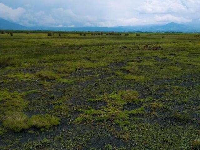 Terreno en venta San Antonio La Isla