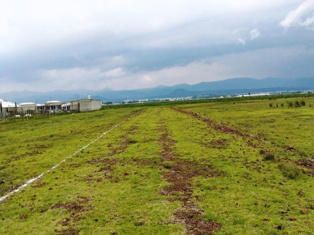 Terreno en venta San Antonio La Isla