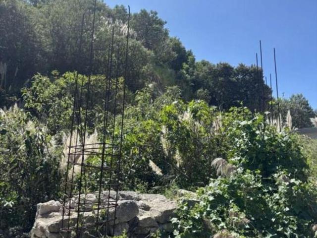 Terreno en venta San Bartolomé Bosque Real Huixquilucan