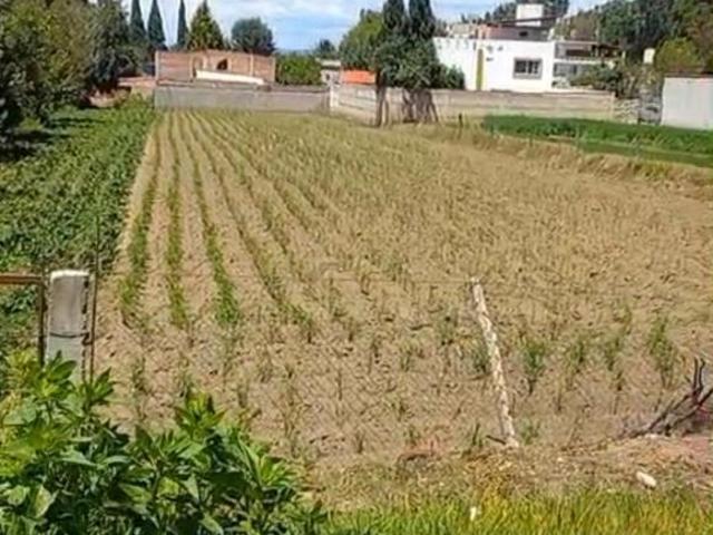 Terreno en Venta – San Francisco Tepeyac, San Martín Texmelucan 4