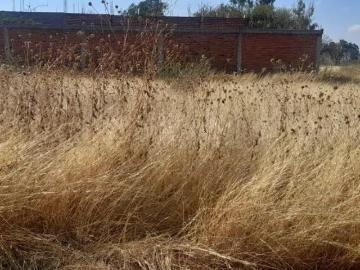 Terreno en VENTA, San José de Uluapa