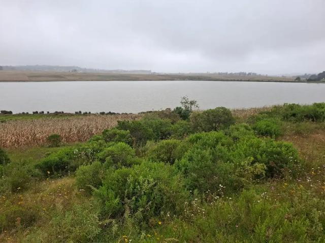 Terreno en Venta San Juan Tuxtepec, Chapa de Mota