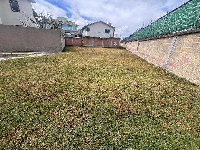 Terreno En Venta, San Luis Mextepec, Zinacantepec