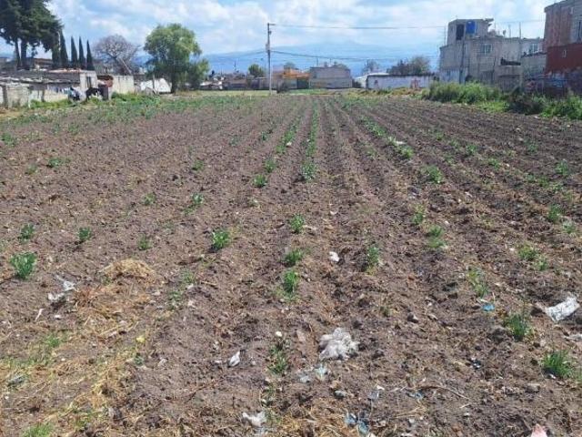 TERRENO EN VENTA, SAN MATEO ATENCO, MÉXICO