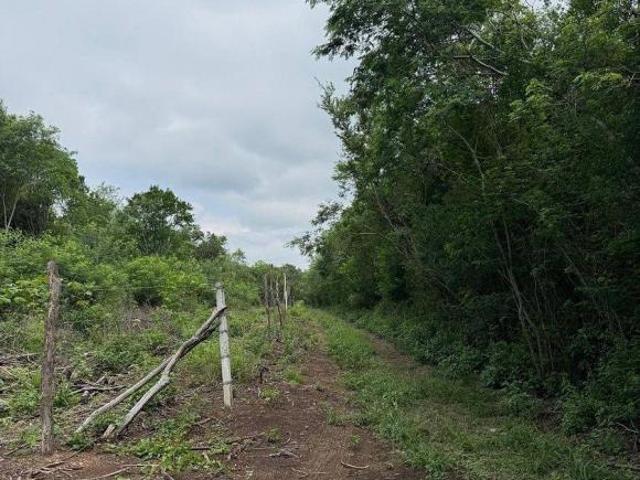 TERRENO EN VENTA SAN MATEO, JUAREZ, NUEVO LEON