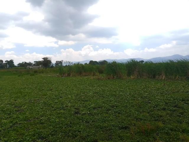 Terreno en Venta, San Mateo Otzacatipan, Toluca, México