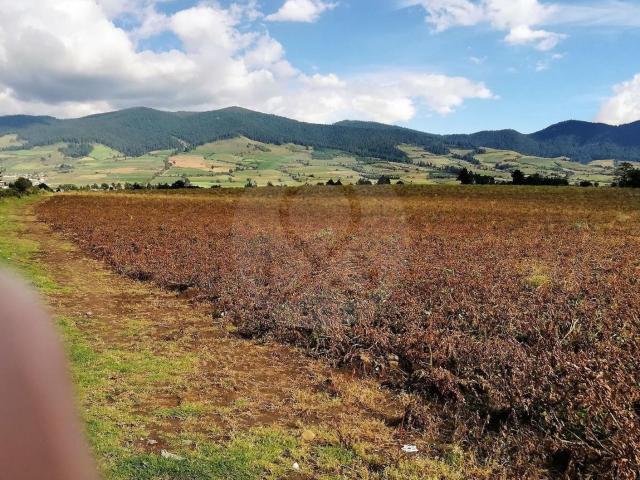 TERRENO EN VENTA SAN NICOLAS COATEPEC