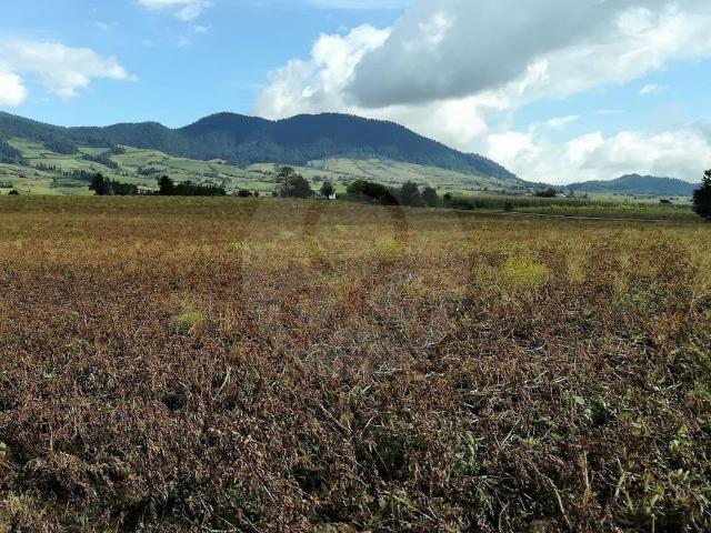 TERRENO EN VENTA SAN NICOLAS COATEPEC