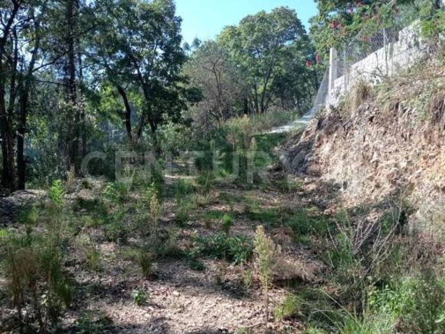 TERRENO EN VENTA SAN NICOLAS, SAN CRISTOBAL DE LAS CASAS