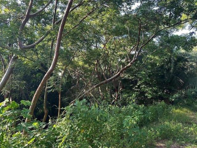 Terreno en venta San Pancho Nayarit | 1,179 m² junto a Campo de Polo