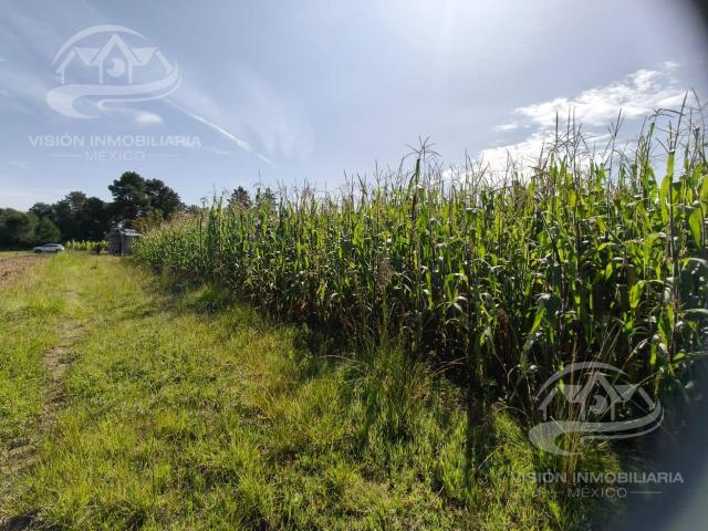 Terreno en VENTA San Pedro Tlalcuapan, Chiautempan, Tlaxcala