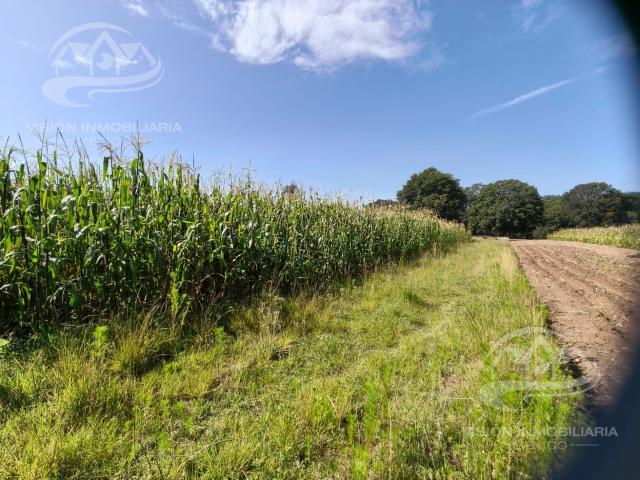 Terreno en VENTA San Pedro Tlalcuapan, Chiautempan, Tlaxcala