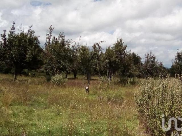 Terreno en Venta San Salvador el Verde Puebla Mexico