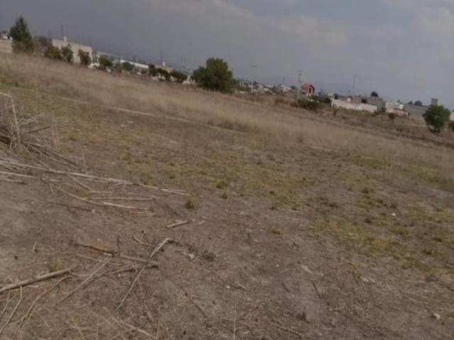 Terreno en venta San Sebastián, Teoloyucan
