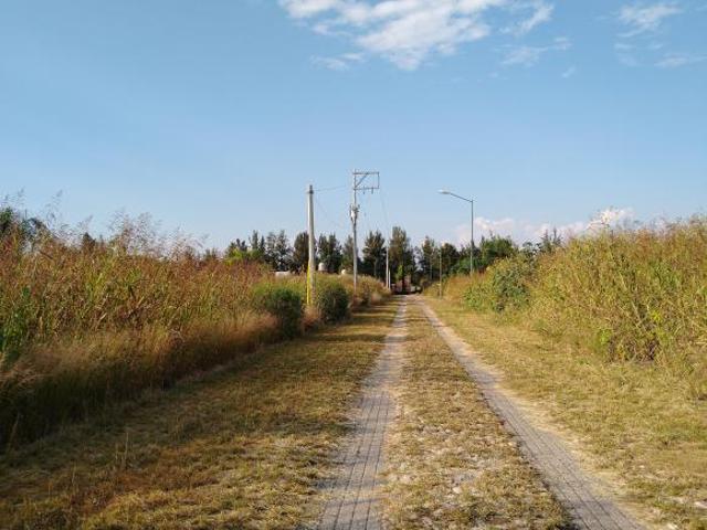 TERRENO EN VENTA SANTUARIO DE SANTA RITA