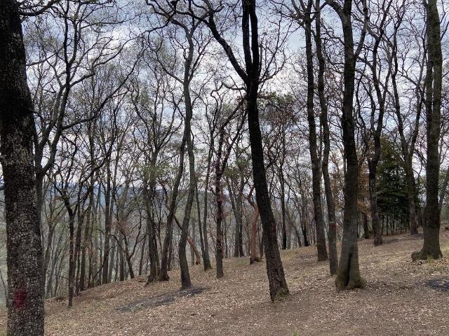 Terreno en Venta Santa Mar?a Mazatla, Jilotzingo Estado de M?xico