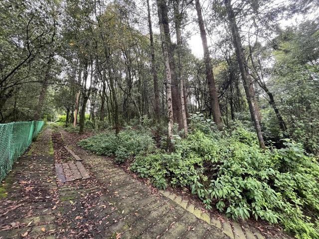TERRENO EN VENTA SANTA MARIA MAZATLA