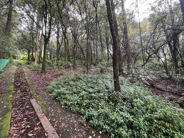 TERRENO EN VENTA SANTA MARIA MAZATLA