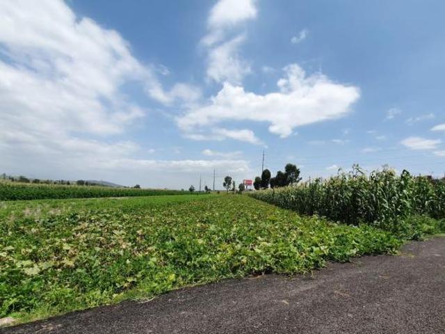 TERRENO EN VENTA – SANTA MARÍA MOYOTZINGO, SAN MARTÍN TEXMELUCAN, PUEBLA