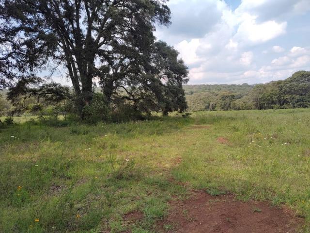 Terreno en venta santa martha de la cruz, jilotepec, Estado