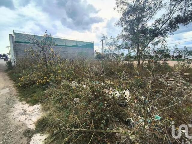Terreno en VENTA | Santa Cruz de Arriba, Texcoco | 320 m² | Cerca de Gran Patio Texcoco