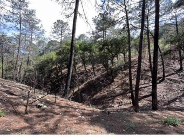 TERRENO EN VENTA SANTIAGO NUEVO LEON CORRAL DE PIEDRA