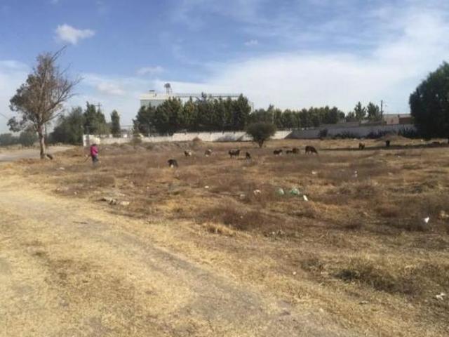 TERRENO EN VENTA SANTIAGO ZACUALUCA TEOTIHUACAN EDOMEX