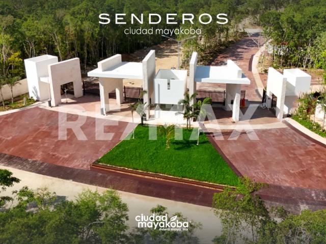 Terreno en Venta Senderos de Ciudad Mayakobá