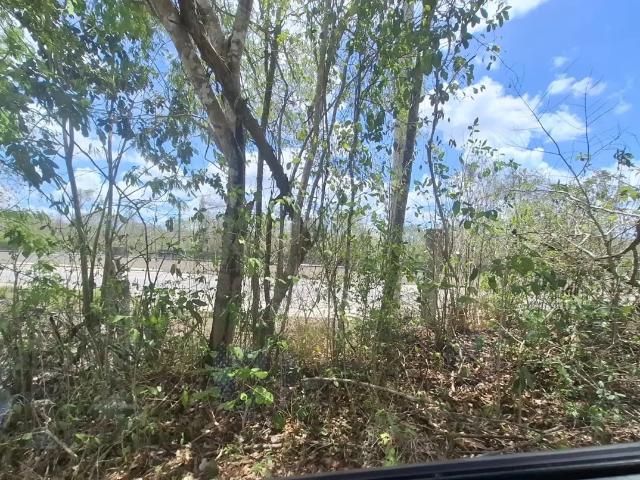 TERRENO EN VENTA SOBRE AUTOPISTA MÉRIDA CANCÚN