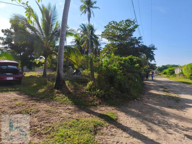 Terreno en venta sobre avenida principal en Plan de los Amates