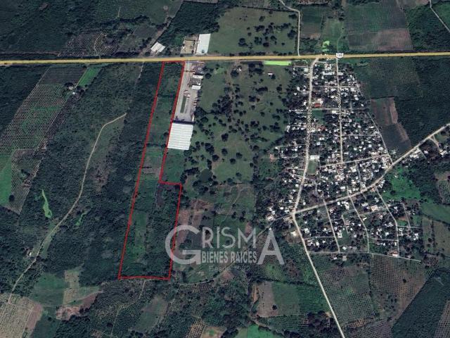 TERRENO EN VENTA SOBRE CARR. TUXPAN TAMPICO