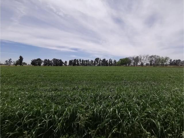 Terreno en Venta Sobre Carretera 45 Norte en Pabellón de Arteaga