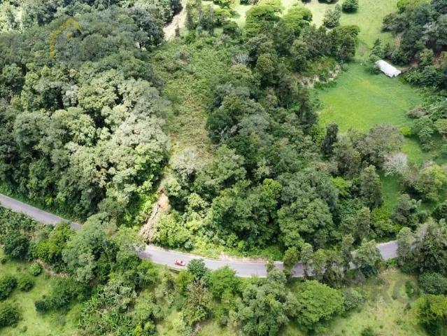 TERRENO EN VENTA SOBRE CARRETERA TEOCELO COSAUTL?N ZONA MONASTERIO TEXIN