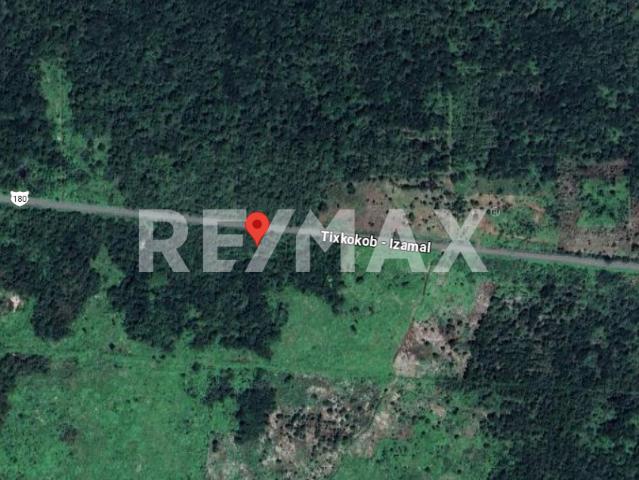 Terreno en Venta sobre Carretera Tixkokob–Izamal, Yucatán