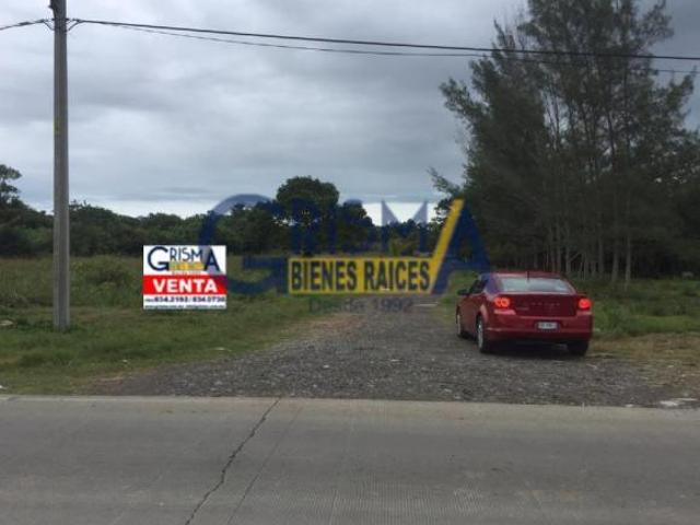 TERRENO EN VENTA SOBRE CARRETERA TUXPAN TAMIAHUA